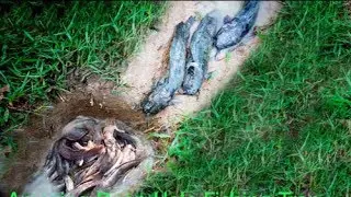 Amazing Deep Hole Fishing Trap-Easy 3 Deep Holes Fishing Trap By A Smart Boy Catch a Lot of Eels