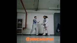 Xingyi vs Taijiquan