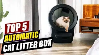 Affordable Automated Cat Litter Boxes: Budget-Friendly Options