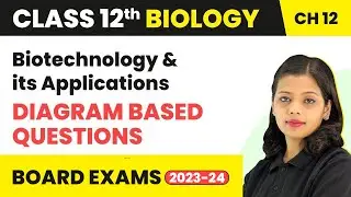 Biotechnology & Its Applications - Diagram Based Question | Class 12 Biology Chapter 9 | CBSE