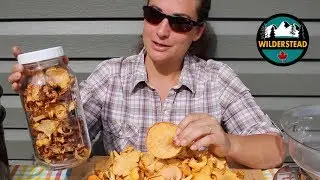 Canning Chanterelle Mushrooms | How To Pressure Can Wild Mushrooms | Preserving Wild Mushrooms