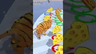 Cat Evolution Gameplay - Level 247 #shorts