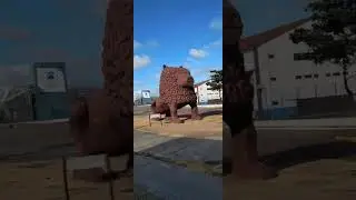 Passando pelo marco zero do Recife 
