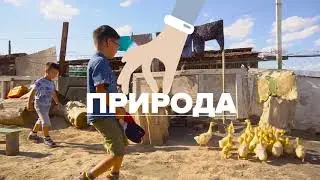 Kids tour конкурс