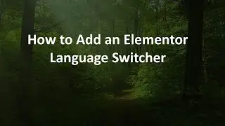 How to Add an Elementor Language Switcher