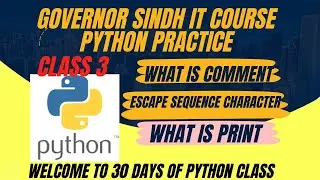 PHYTHON Class 3 for beginners(Comment,Escape seqeuce character,Print Governor Sindh IT Course