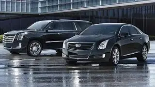Executive Car Service in Charleston | Carolina&rsquo;s Executive Limo