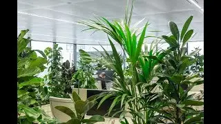 Synchroon is verhuisd naar een nieuw, groen, duurzaam kantoor