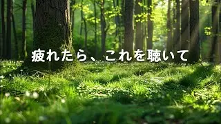 【疲れたら、これを聴いて・100％広告なし】心が軽くなる癒しの音楽｜リラックスして目覚めたい朝に、ストレス・考えすぎ、眠れない時などに、仕事終わり、読書用BGM
