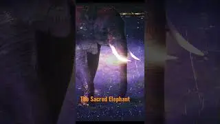 The Sacred Elephant #elephant #elephants #spiritual #spirituality