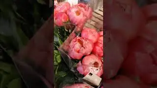 Rose flowers kept in Switzerland shops for sale