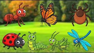Insect Names and Sounds for Children: Learn About Bugs, Bees, and Butterflies