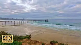 Scripps Pier La Jolla: 4K Relaxing Ocean Sounds & Beach Ambience 🌊