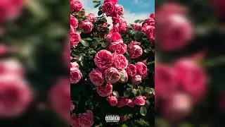 Ally - Rosé Interlude (Audio)