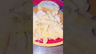First time Chicken Alfredo