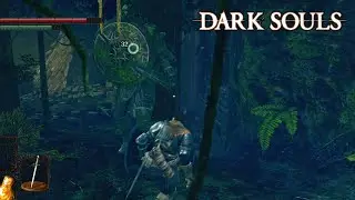 Dark Souls - [Part 7] - Darkroot Garden - No Commentary