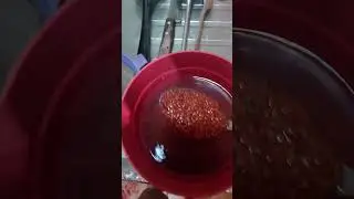a linha&ccedil;a marrom &eacute; mais barata mas o benef&iacute;cio &eacute; o mesmo da linha&ccedil;a dourada