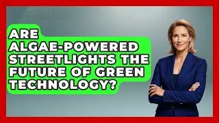 Are Algae-powered Streetlights The Future Of Green Technology? - Social Issues For Everyone