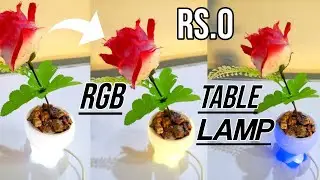 Rs 0 Cost! Amazing DIY RGB Rose Table Lamp |How to Make a Colourful Flower Lamp at Home