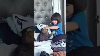 War between kids and cats