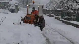 Neve 2016