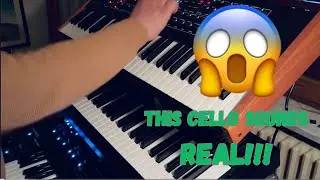Osmose Cello + Prophet Rev2 Pads + Moog Subsequent 37 Bass | Live Synth Performance