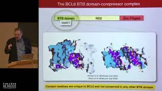 Master Transcriptional Regulators and Cancer (4) - Hugues de Th&eacute; (2017-2018)