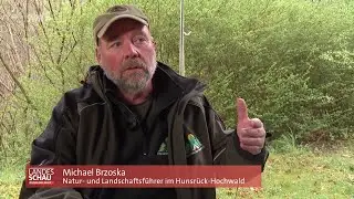 Schneppenbach Hunsr&uuml;ck: Survival Camping