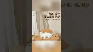#cat #catbed #petproducts #pets #catdecor #catfurniture #cute #petbed #catsaccessories #catscratcher