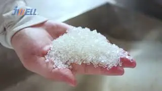 Jwell PET Recycling Pelletizing Line | High-Quality for Spinning Grade (ไทย subtitles)