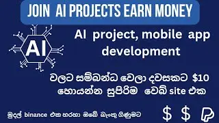 Earn money online with micro task | Data labeling jobs | hive work sinhala review | 10$ day