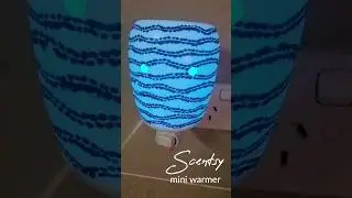 Beach Stroll Scentsy Mini Warmer #shorts #shortsvideo #scentsy