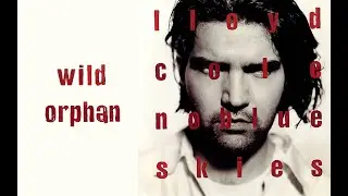 Lloyd Cole - Wild Orphan