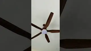 Kuhl designer ceiling fans #ceilingfan #designerfans #ytshorts #kuhl #shorts #youtubeshorts #youtube
