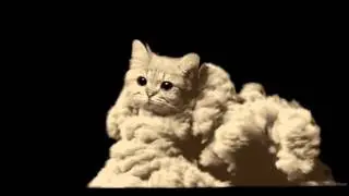 Darude - Catstorm