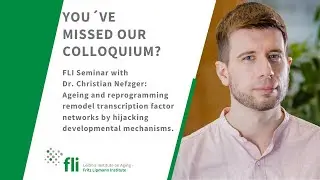 FLI Kolloquium with Dr. Christian Nefzger