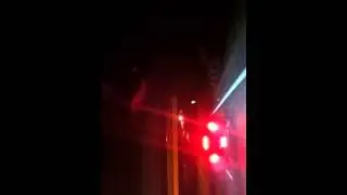 El blakii speed