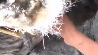 FIBRA  DE VIDRIO  COMO AREGLA ASIENTO DE MOTONETA DE PLASTICO