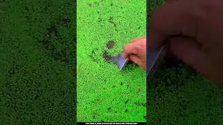 Chintu का iphone पानी में गया 🤔~ mini wood toy -woodworking art skill woo / hand crafts / #shorts