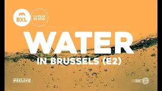Water management in Brussels - Episode 2: Rainwater Management