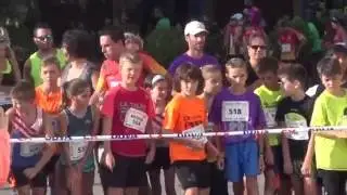 CROS AMETLLA DE MEROLA  2016