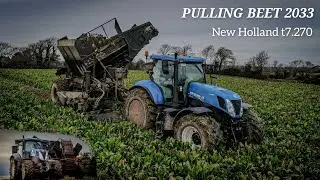 Pulling Beet 2023 - New Holland t7.270 & Thyregod beet harvester - Rochford Agri