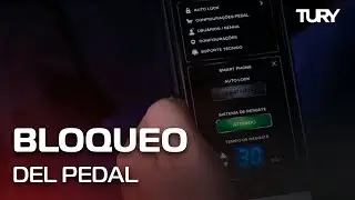 FAST MAX: Bloqueo del pedal de aceleraci&oacute;n! - Auto Esporte - TURY