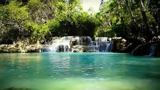 Tranquil Turquoise River & Waterfall Sounds in Jungle: Relaxing White Noise | 10 hours