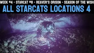 Starcat Locations Guide - Week 4 / #8 - Reaver's Orison | Destiny 2