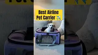 #petcarrier #dog #doglife #airplane #southwest #aircanada #plane #pets #cat #travel #fly #airport