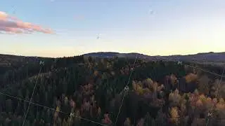 lush green landscape, serene sunset over wooded hills, peaceful vista with autumn leaves and sky