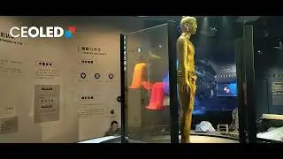Application in Traditional Chinese Medicine Museum Exhibition Halls