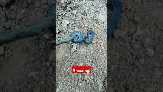 Amazing 37 #CrazySnake #VenomousBeauty #KingCobra #PythonAttack #DeadlyBite #Snake #Shorts #amazing