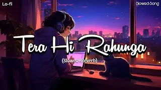 Tera Hi Rahunga❣️|New Hindi Song/and Lo-f Slowed Song Lo-fi/ my official channel /Like comment share